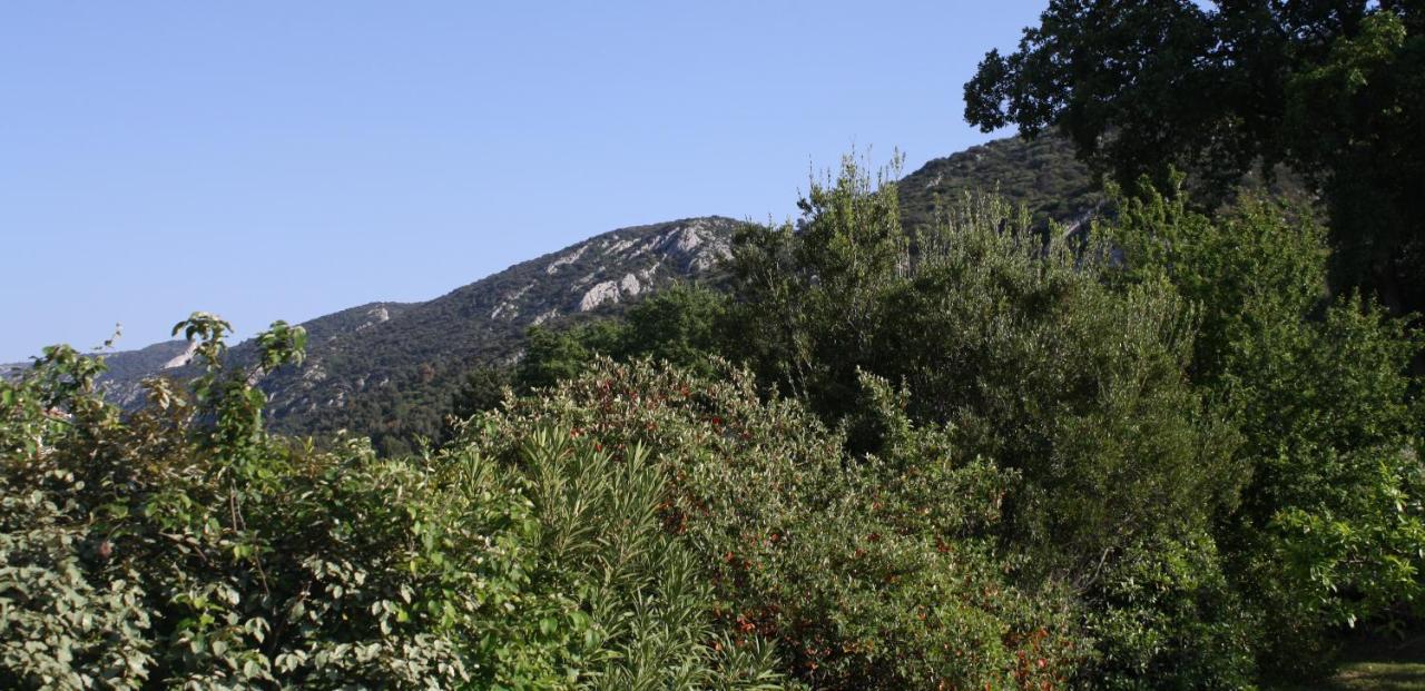Bed and Breakfast Hestia Robion en Luberon Exteriér fotografie